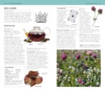 Herbal Remedies Handbook: More Than 140 Plant Profiles; Remedies for Over 50 Common Conditions - Image 4