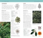 Herbal Remedies Handbook: More Than 140 Plant Profiles; Remedies for Over 50 Common Conditions - Image 5