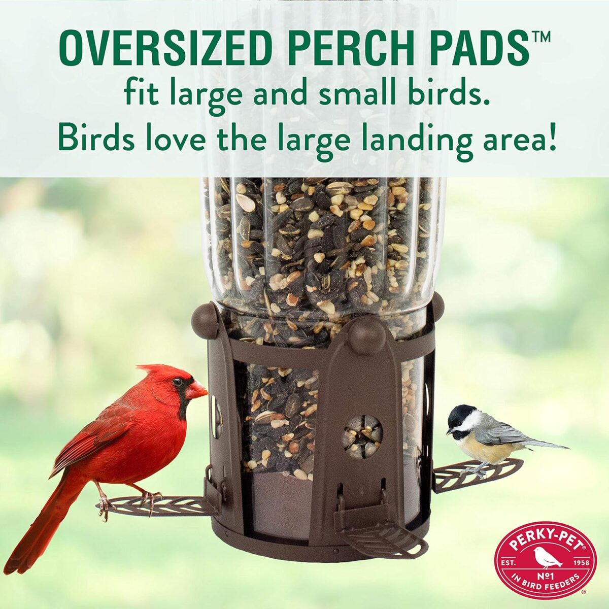 Perky-Pet 334-1SR Squirrel-Be-Gone Max Large Wild Bird Feeder with Flexports, Squirrel Proof Bird Feeder with Weight-Activated Perches - 4LB Seed Capacity - Image 7