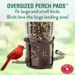 Perky-Pet 334-1SR Squirrel-Be-Gone Max Large Wild Bird Feeder with Flexports, Squirrel Proof Bird Feeder with Weight-Activated Perches - 4LB Seed Capacity - Image 7