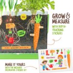 Root Viewer Kit for Kids - Easter Gifts - Grow Your Own Plant for Boys & Girls - Science STEM Toy & Craft Growing Kits for Ages 4-8 Birthday Gifts for Boy, Girl 4, 5, 6, 7, 8, Year Old - Gardening Toy - Image 3