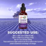 MaryRuth Organics Elderberry Syrup Extra Strength, USDA Organic Elderberry, Sugar Free Adults & Kids Immune Support Supplement for Ages 1+, Clean Label Project Verified®, Vegan, Gluten Free, 2 Fl Oz - Image 4