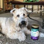 PetNC Natural Care Hip & Joint Mega Soft Chews - Image 5