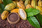 Food to Live Cacao Nibs, 8 Ounces - Raw, Unsweetened, Kosher, Vegan, Keto and Paleo Friendly, Made from Antioxidant Rich Cacao Beans, Cacao BIts for Chocolate, Sirtfood, Bulk - Image 6