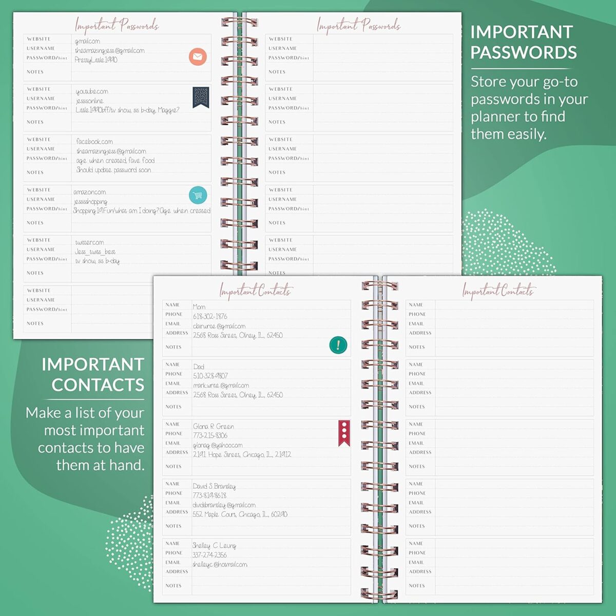 PLANBERRY Weekly Planner – Undated Life Organizer & Budget Planner – Time Management, Goal Setting, to-Do List, Work-Life Balance & Habit Tracker – 6.1″ x 8.1″ (Green Pastures) - Image 5