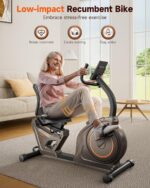 Niceday Recumbent Exercise Bike, Recumbent Bike for Home, Recumbent Stationary Bike 400LBS Weight Capacity, Magnetic Recumbent Bike with Smart APP, LCD Monitor, Heart Rate Handle - Image 2