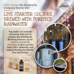 Kombucha Home Brewing Starter Kit | 5-Inch Large Scoby Kombucha Starter Kit | Complete Kit Includes What You Need w/ 16 oz Starter Tea, Brewing Jar & Brewing Supplies | Brew Unlimited Kombucha - Image 4