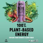 Yachak Yerba Mate Drink, Blackberry, 16 Fl Oz Cans, Pack of 12 - Image 4