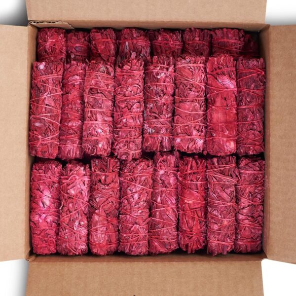 Dragon's Blood Sage Smudge Sticks for Cleansing House, Meditation, Yoga, Negative Energy Cleanse | 4 Inch Dragon Blood Sage Bundles (6)