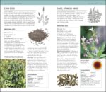 Herbal Remedies Handbook: More Than 140 Plant Profiles; Remedies for Over 50 Common Conditions - Image 6