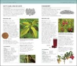 Herbal Remedies Handbook: More Than 140 Plant Profiles; Remedies for Over 50 Common Conditions - Image 7