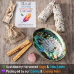 Perfect Unity Smudging Kit - 2 White Sage Smudge Sticks + 2 Palo Santo Sticks + Abalone Shell Bowl + Rose Quartz Crystal | Healing Incense for Cleansing, Blessing, Protection, Meditation - Image 5